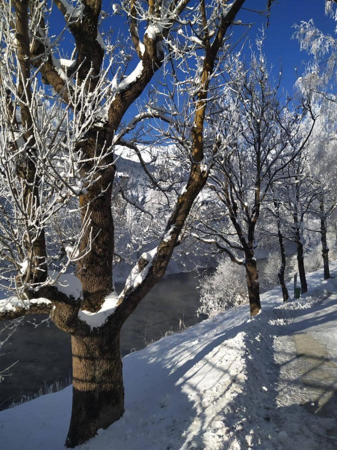 Alpenblick Apartment Gastein - Inklusive Eintritt Alpentherme Бад Хофгащайн Екстериор снимка