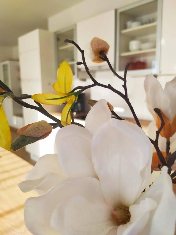 Alpenblick Apartment Gastein - Inklusive Eintritt Alpentherme Бад Хофгащайн Екстериор снимка